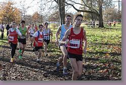 Begles 15.12.13 01 567 * 679 x 453 * (212KB)